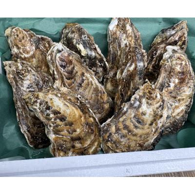 ふるさと納税 北見市 サロマ湖産2年牡蠣 約1kg(約6〜9個)