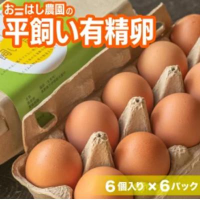 ふるさと納税 大鹿村 おーはし農園の平飼い有精卵 36個(6個×6パック)