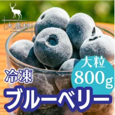 ふるさと納税 大鹿村 冷凍ブルーベリー大粒 800g