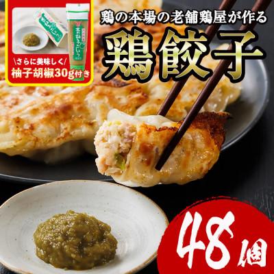 ふるさと納税 門川町 鶏の本場の老舗鶏屋が作る味鶏の餃子セット(12個×4P)