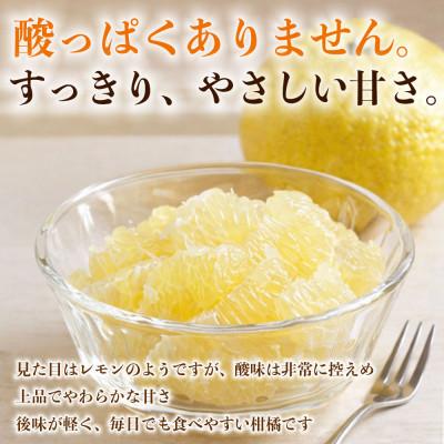 ふるさと納税 益城町 【先行予約】 熊本県産 やさしい甘さと爽やかな味わいのみかん! 訳あり はるか 約4kg(益城町) |  | 01