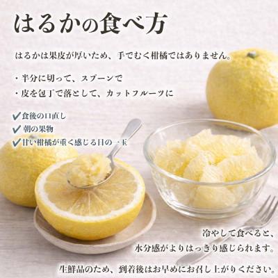 ふるさと納税 益城町 【先行予約】 熊本県産 やさしい甘さと爽やかな味わいのみかん! 訳あり はるか 約4kg(益城町) |  | 03