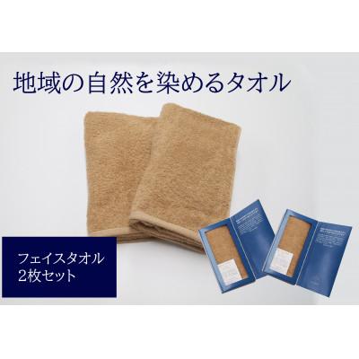 ふるさと納税 伊予市 フェイスタオル2枚セット 地域の自然を染めるタオル(ベージュ)
