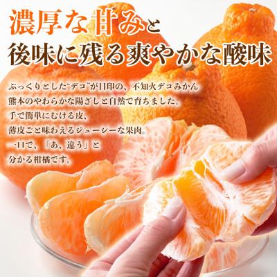 ふるさと納税 荒尾市 不知火 デコみかん(デコポンと同品種)5〜9玉 約2kg(荒尾市)_1