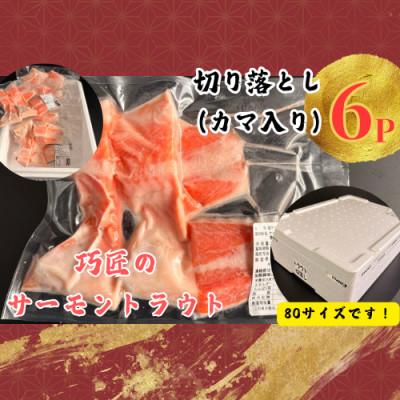 ふるさと納税 銚子市 サーモントラウト 切り落とし(カマ入り) 4切入×6パック