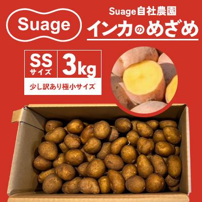 ふるさと納税 江別市 Suage 自社農園直送 インカのめざめSSサイズ 3kg