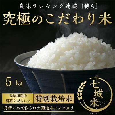 ふるさと納税 菊池市 熊本県菊池産 こだわり七城米 5kg(菊池市)