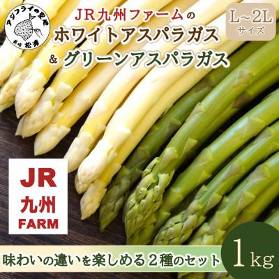 ふるさと納税 松浦市 JR九州ファームのホワイトアスパラガス&amp;グリーンアスパラガス L〜2Lサイス 1kg