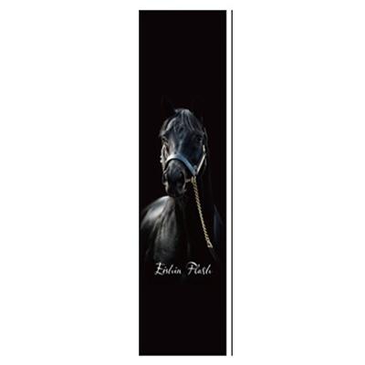 ふるさと納税 平取町 [競馬グッズ][エイシンフラッシュ]タペストリー