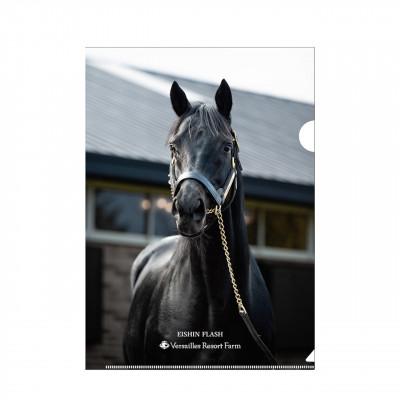 ふるさと納税 平取町 [競馬グッズ][エイシンフラッシュ]クリアファイル5枚入り