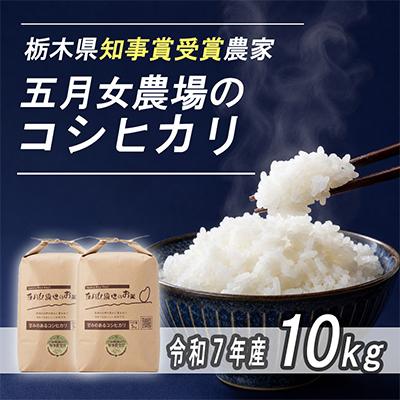ふるさと納税 大田原市 栃木県大田原産コシヒカリ白米10kg|栃木県農業大賞知事賞受賞|五月女農場のお米|メディア出演多数