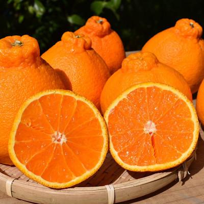 ふるさと納税 広川町 [2027年2月より順次発送]和歌山産 不知火 5kg 秀品 (12玉〜18玉) L〜4Lサイズ混合