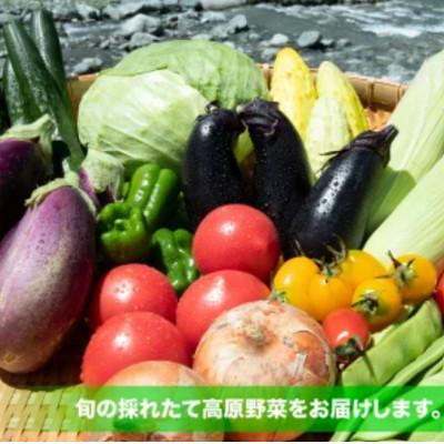 ふるさと納税 大鹿村 季節の青果と有精卵のセット