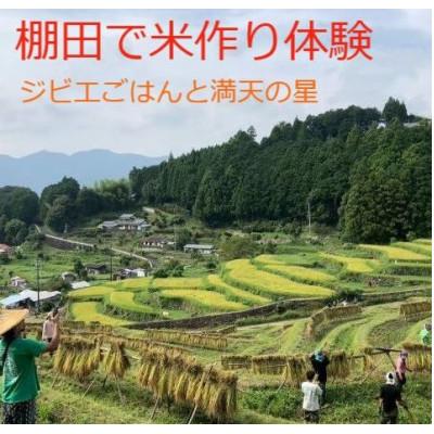ふるさと納税 那智勝浦町 棚田で米作り体験とジビエごはん(参加チケット1回分)