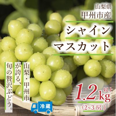 ふるさと納税 甲州市 山梨県甲州市産 シャインマスカット計約1.2kg / Inakakara