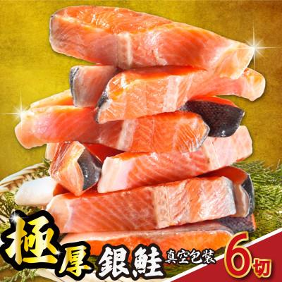 ふるさと納税 銚子市 銀さけ切身 2切入り真空パック×3パック