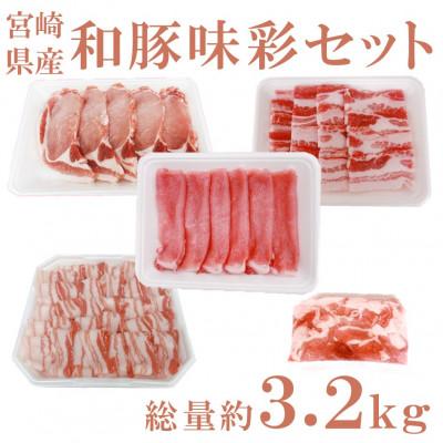 ふるさと納税 三股町 宮崎県産「和豚味彩」豚肉バラエティセット 約3.2kg(三股町)[MI552]