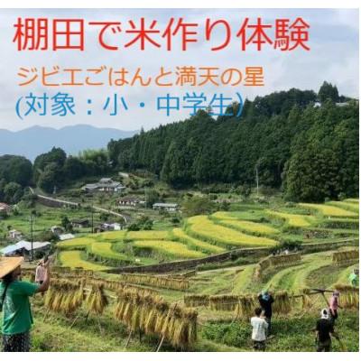 ふるさと納税 那智勝浦町 棚田で米作り体験とジビエごはん (小・中学生申し込み)