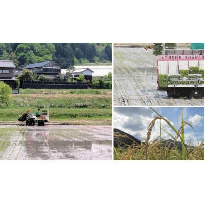 ふるさと納税 与謝野町 【先行受付】令和8年新米 数量限定 京都与謝野町産コシヒカリ「京の豆っこ米」精米20kg 農家直送の画像