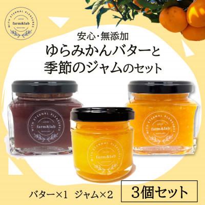 ふるさと納税 印南町 [安心・無添加]みかん農家がつくった「みかんバターと季節のジャム」のおいしい朝食セット(計3個入)