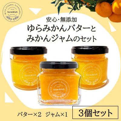ふるさと納税 印南町 [安心・無添加]みかん農家がつくった「みかんバターとみかんジャム」のおいしい朝食セット(計3個入)