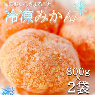 ふるさと納税 印南町 旬の美味しさそのままみかん!外皮をむいたまるごと冷凍みかん 800g×2袋セット