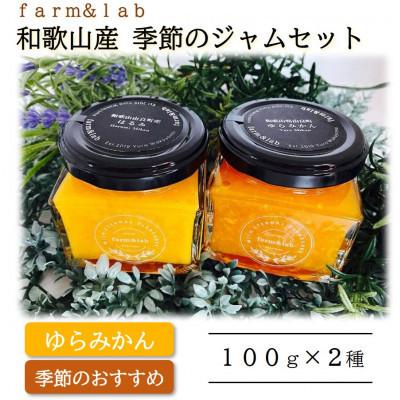 ふるさと納税 印南町 [無添加]和歌山産 季節のフルーツジャムセット(ゆらみかん+季節のおすすめジャム) 2個入