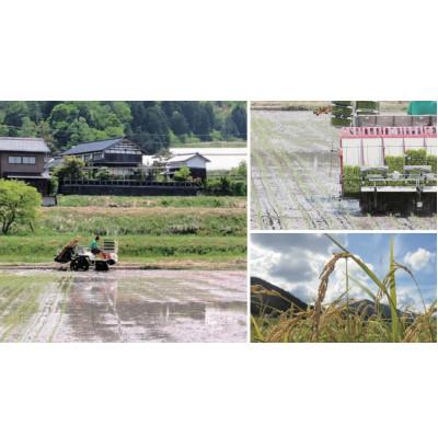 ふるさと納税 与謝野町 【先行受付】令和8年新米 数量限定 京都与謝野町産コシヒカリ「京の豆っこ米」玄米10kg×3袋の画像