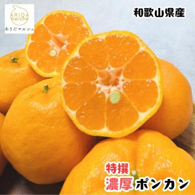 ふるさと納税 広川町 ≪先行受付・2027年1月〜順次発送≫ 特撰 濃厚ポンカン 1.5kg