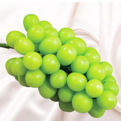 ふるさと納税 豊岡市 [2026年先行予約]シャインマスカット 約2kg 秀品