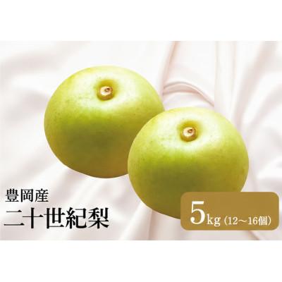 ふるさと納税 豊岡市 二十世紀梨「豊岡なし」　5kg(12〜16個) | 
