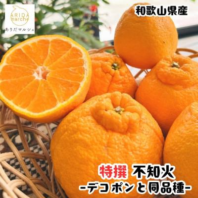 ふるさと納税 広川町 ≪先行受付・2027年1月末〜発送≫[人気柑橘] 特撰 濃厚不知火 1kg