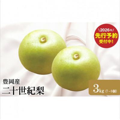 ふるさと納税 豊岡市 [2026年先行予約]二十世紀梨「豊岡なし」 3kg(7〜9個)