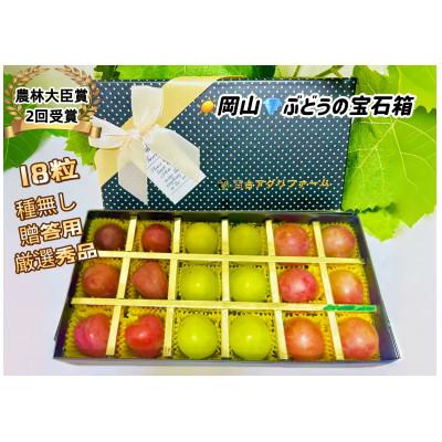 ふるさと納税 岡山市 ぶどう 岡山 3種食べ比べ クイーンニーナ シャイン マイハート 粒だけ18粒 贈答用秀品 ブラック