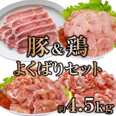 ふるさと納税 三股町 宮崎県産 豚肉鶏肉よくばりセット 合計4.5kg(三股町)[MI731]
