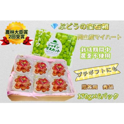 ふるさと納税 岡山市 ぶどう 2026年 マイハート 小分け 秀品 粒だけ 約170g 6パック 8月から発送