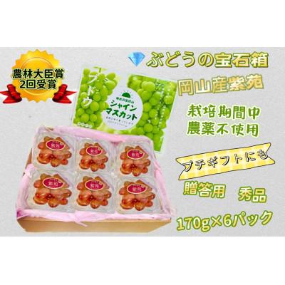 ふるさと納税 岡山市 ぶどう 2026年 岡山 紫苑 小分け 秀品 粒だけ 約170g 6パック 10月から発送