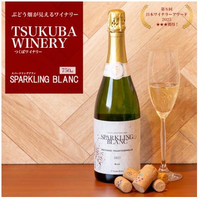 ふるさと納税 つくば市 つくばワイナリー SPARKLING BLANC (スパークリングブラン)【離島・沖縄配送不可】 | 