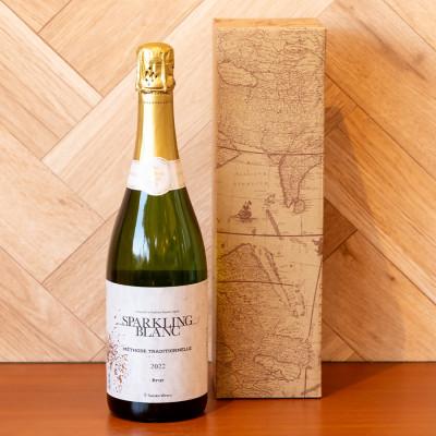 ふるさと納税 つくば市 つくばワイナリー SPARKLING BLANC (スパークリングブラン)【離島・沖縄配送不可】 |  | 01