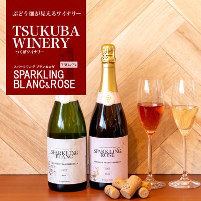 ふるさと納税 つくば市 つくばワイナリー SPARKLING BLANC &amp; ROSE セット[離島・沖縄配送不可]
