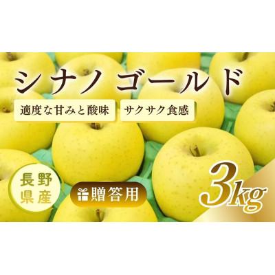ふるさと納税 上田市 りんご シナノゴールド 3kg 贈答用 信州 長野県 上田市