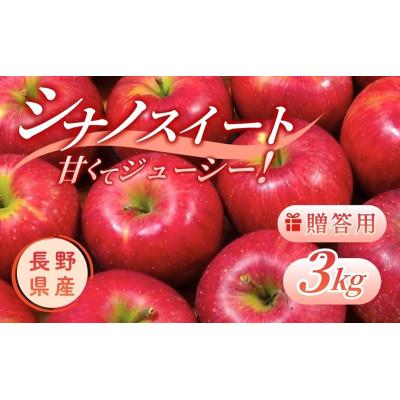 ふるさと納税 上田市 りんご シナノスイート 3kg 贈答用 信州 長野県 上田市