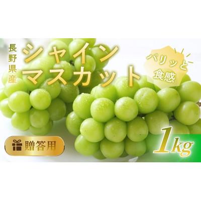 ふるさと納税 上田市 シャインマスカット 1kg 贈答用 信州 長野県 上田市