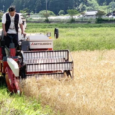ふるさと納税 与謝野町 【先行受付】数量限定!令和8年新米 京都与謝野町産コシヒカリ「京の豆っこ米」 精米20kg 農家直送の画像