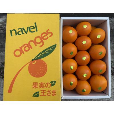 ふるさと納税 日高川町 国産ネーブルオレンジ5キロ