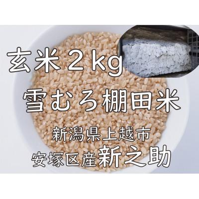 ふるさと納税 上越市 雪むろ棚田米新之助 2kg 玄米