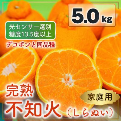ふるさと納税 松山市 家庭用 不知火 5kg 光センサー選別 糖度13.5度以上 2027年2月以降順次発送