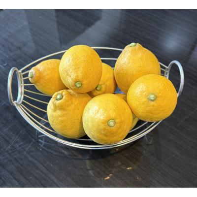 ふるさと納税 日高川町 国産レモン(サイズ混合)3キロ