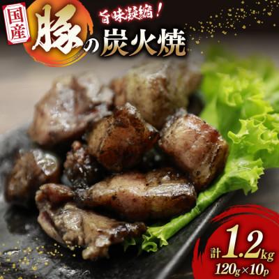 ふるさと納税 日向市 炭火焼き豚 10パック 120g 計1.2kg