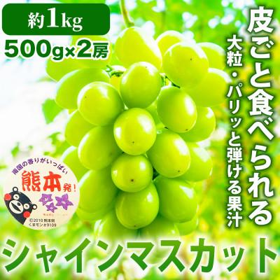 ふるさと納税 荒尾市 シャインマスカット ぶどう 2房 約1kg(荒尾市)